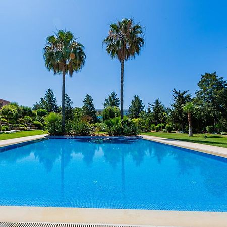 Casa Colina Villa Albufeira Ngoại thất bức ảnh